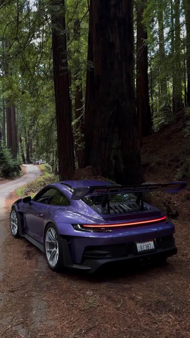 Purple Porsche GT3 RS in forest setting